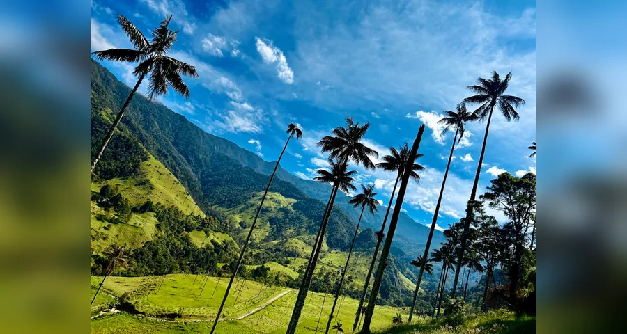 Valle de Cocora